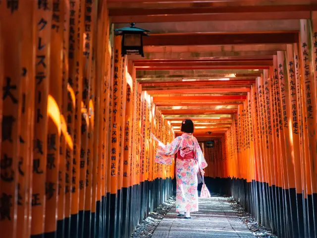 🌟【京都隠れた美景大公開！これらの場所を他の人は教えてくれません！】🌈