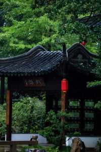 看不夠的江南雨｜雨天慢遊常熟曾趙園宛若走進了詩畫裡