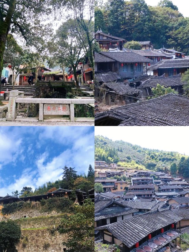 為什麼來桂峰村？
