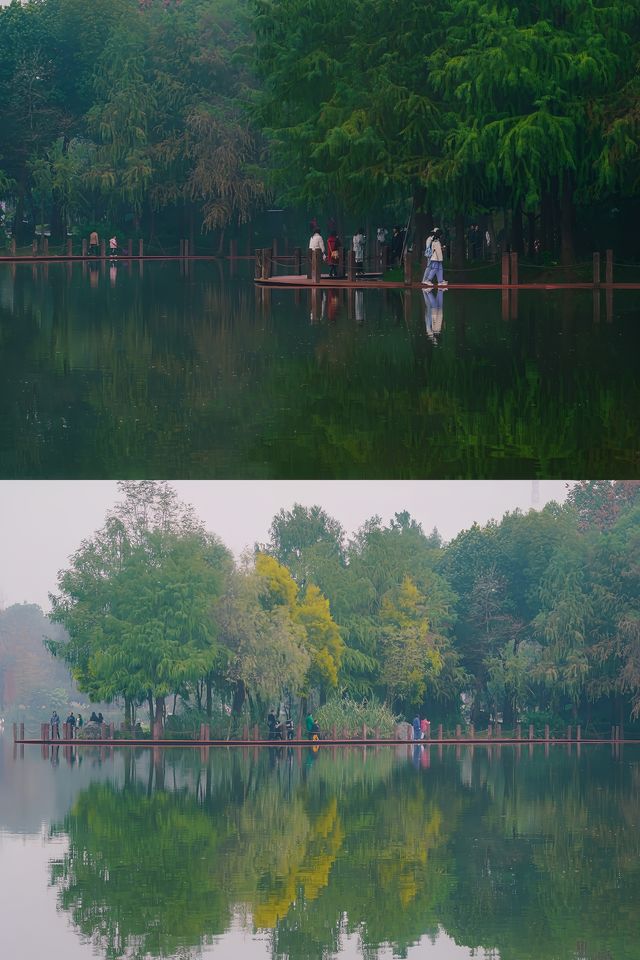 璧山這個公園美如畫