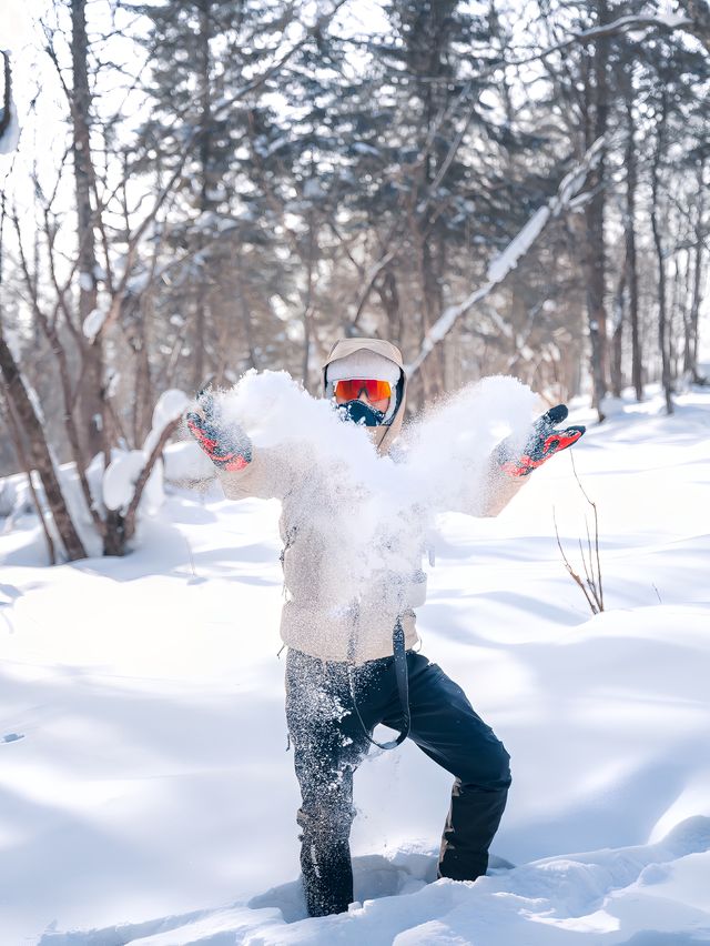 徒步穿越15公里的森林雪原才是雪鄉正確的開啟方式