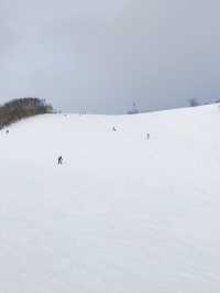 二世谷滑雪 | 安努普利滑雪場