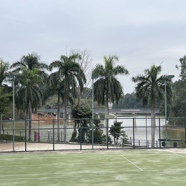 打卡深圳觀瀾湖生態運動公社