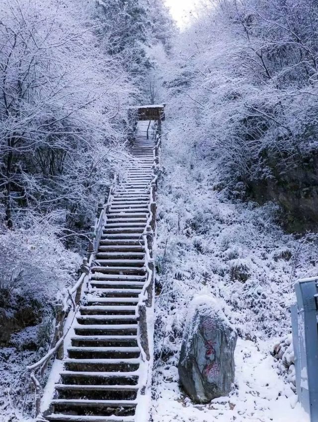 冬日限定：邂逅官鵝溝絕美冰瀑冬雪