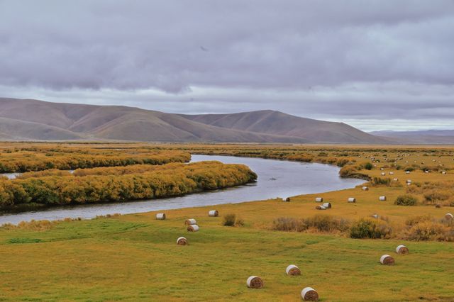 額爾古納河右岸