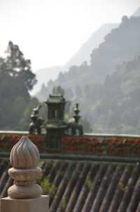 禮拜玄中寺