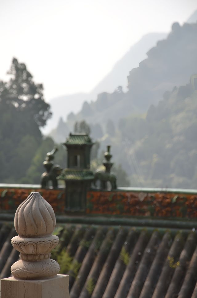 禮拜玄中寺