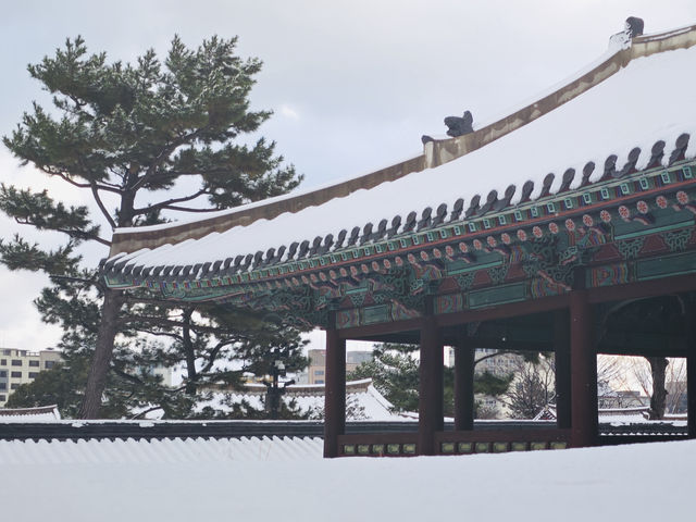 空降濟州島