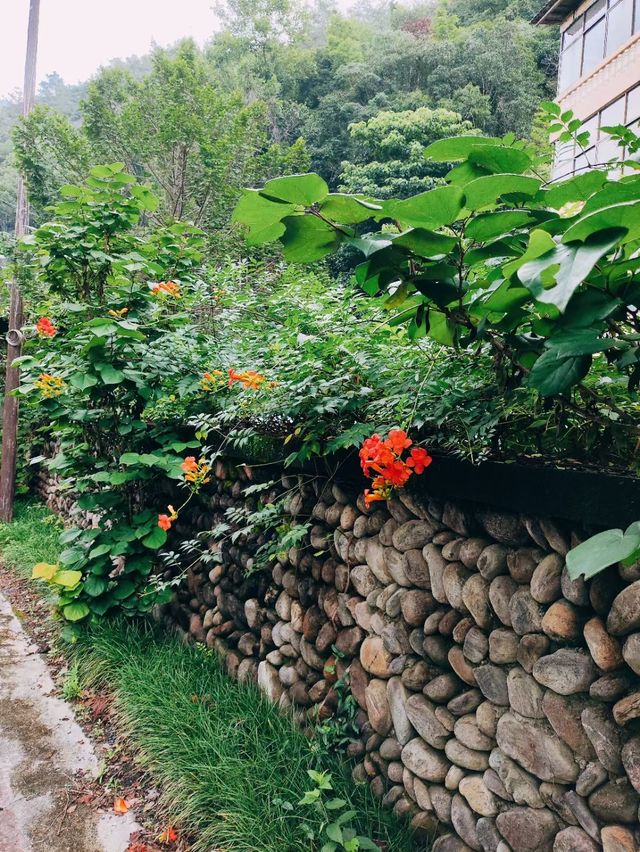 白雲深處，靖安人家——走進靖安三爪侖