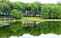 古鎮即酒店，公園是它家花園
