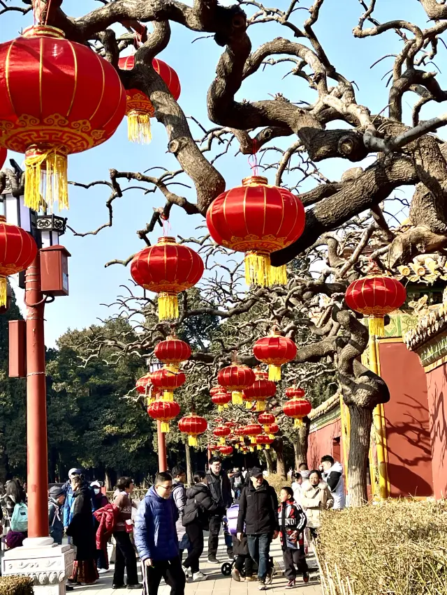 赤々と燃える 春色が龍の年を開始 景山公園 北京