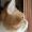 Ward_Celeste_45