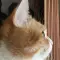 Ward_Celeste_45