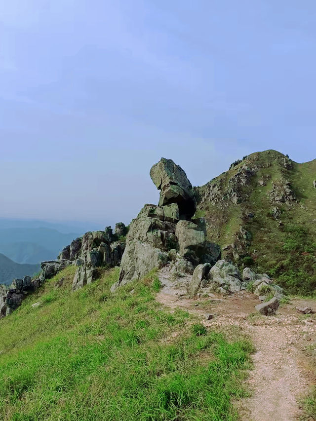 徒步九連山｜探索高山裡的秘密風景