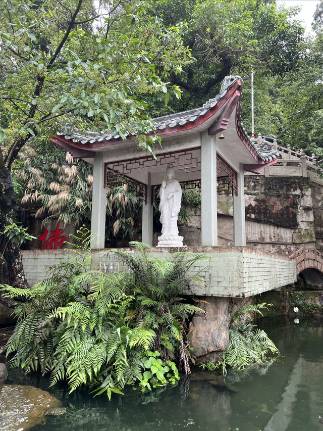 嶺南四大名剎——慶雲寺