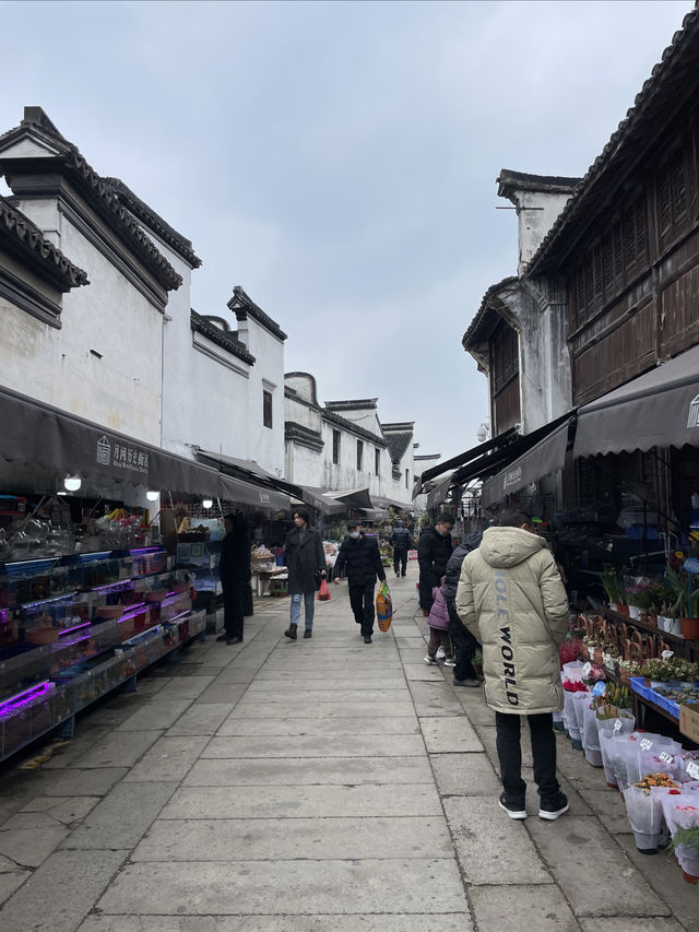 嘉興｜月河歷史街區，居然還有花鳥市場可以逛