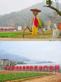 普寧旅遊｜飛鵝嶺農業公園有粵東首家航空館
