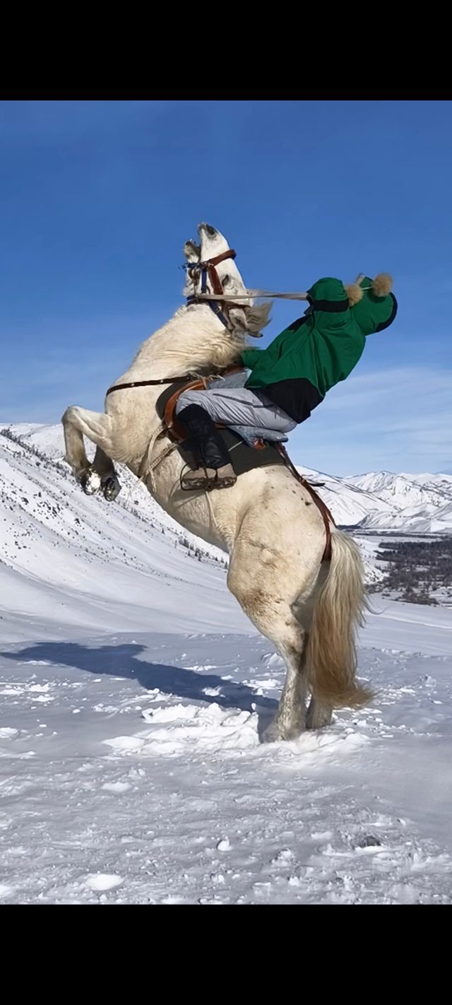 可可托海除了滑雪，還有雪騎