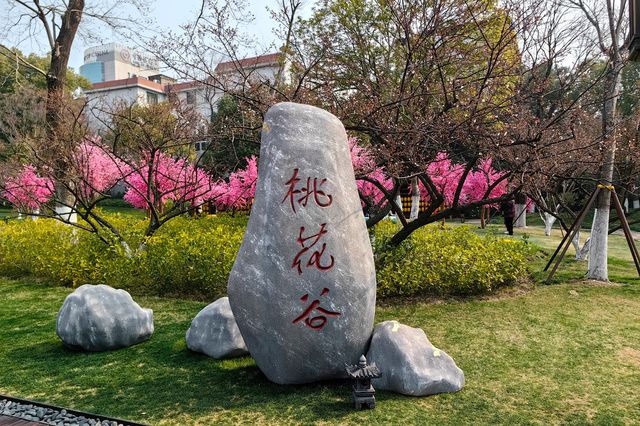 浙江唯一古城樓|嘉興子城（1620）