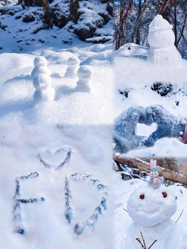 川西厄爾納溝‖南方小土豆的冰雪童話世界