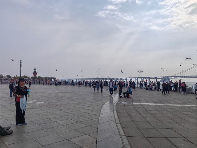 大連，是個很適合自駕的濱海城市！！想去大連玩看這裡！