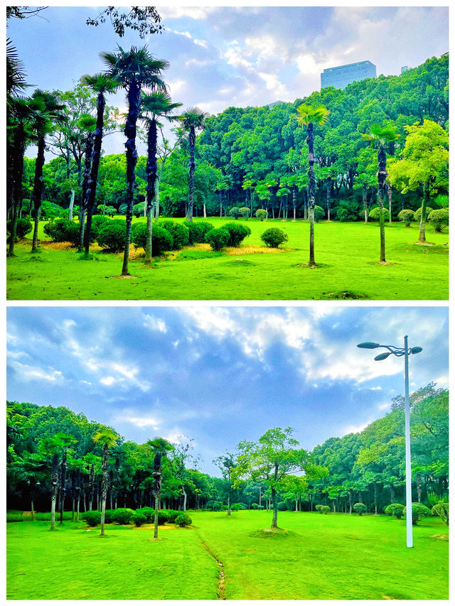 今夏，世紀公園「芳花園」卸下一千米的圍牆，與周邊街區融為一體！