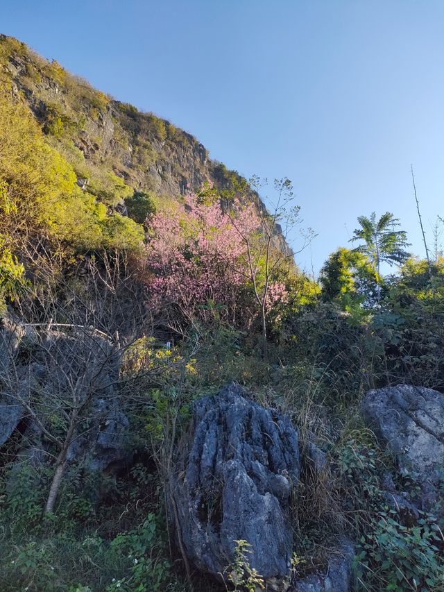 三生三世十里桃花拍攝地