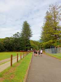 Shoal Bay 海灘