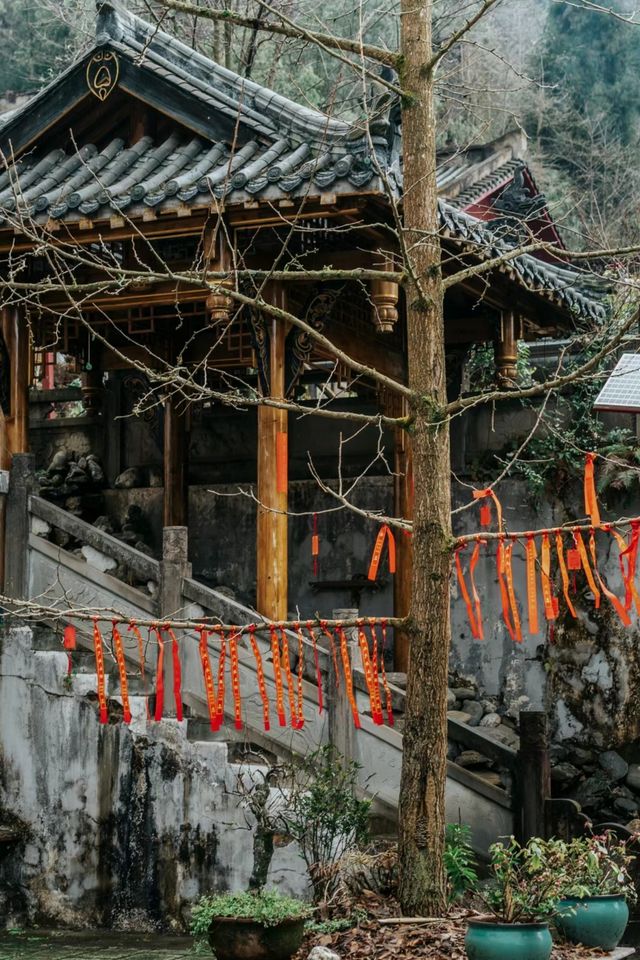 開化寺徒步||探尋中國佛教南傳第一寺