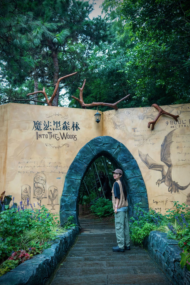 南京周邊的巨型貓咪以為進了魔法黑森林