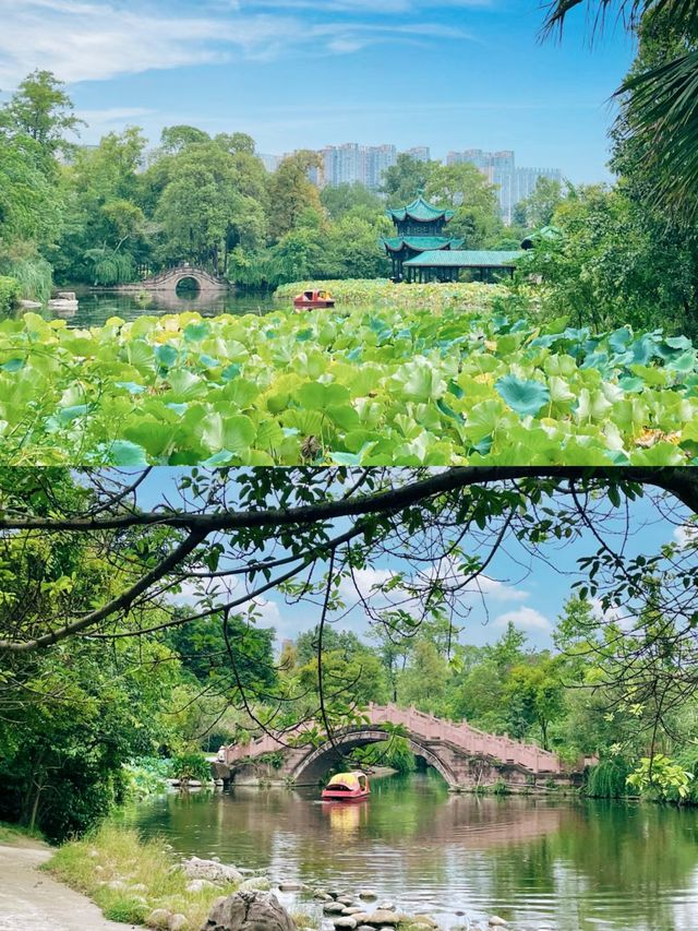 在成都!!!唯一我想去拍無數次的公園!