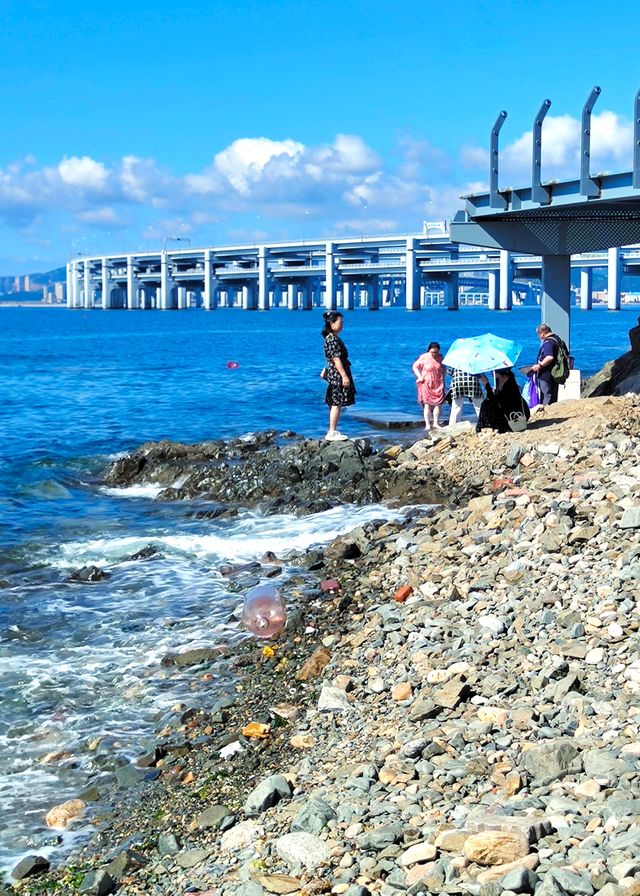 大連星海灣跨海大橋