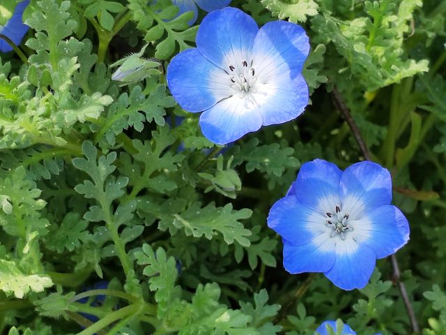 春風百花樂陶然