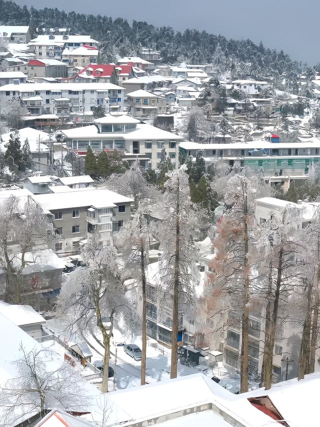 打卡雪後的廬山真面目！