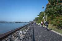 深圳灣公園:深圳騎行最佳線路