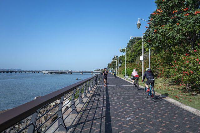 深圳灣公園:深圳騎行最佳線路 深圳灣公園:深圳騎行最佳線路