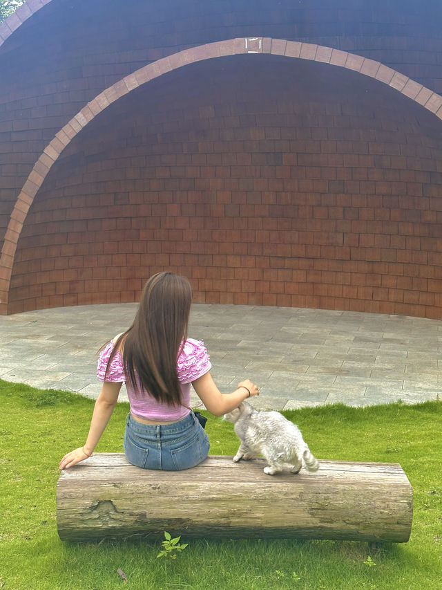 在成都也有專屬動物樂園啦