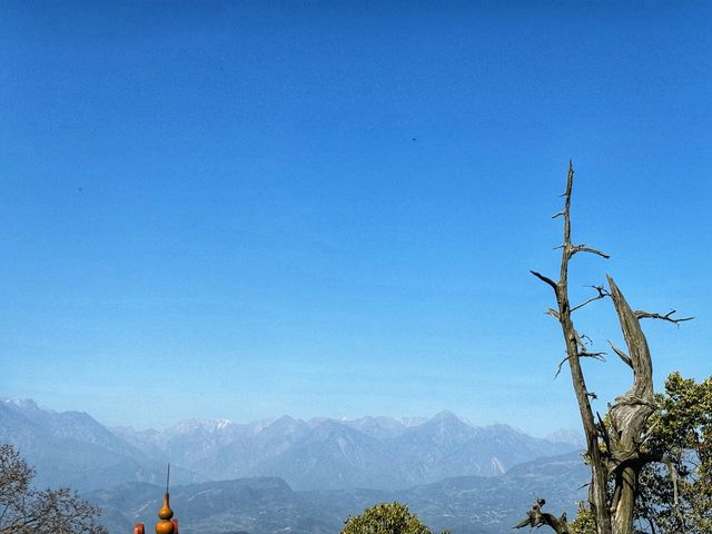 牡丹花下也風流，是洛陽的牡丹高雅，還是景山的風雅！