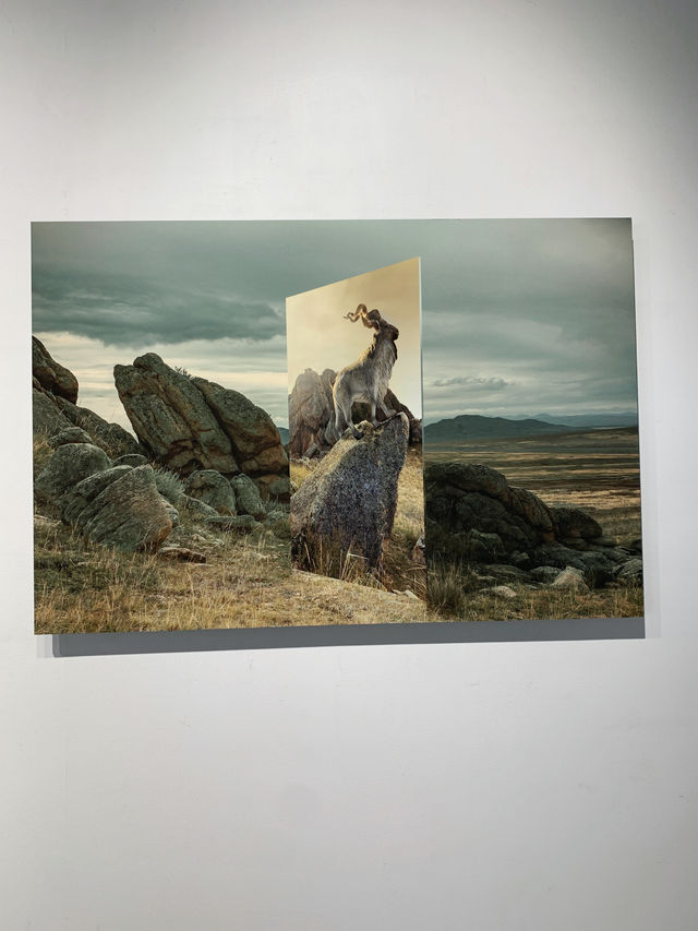 魔都免費看展,此去經年 魔都免費看展,此去經年