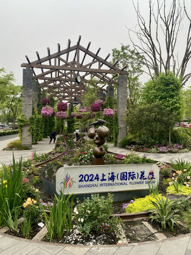 五一去哪玩｜徐匯濱江的花展美哭了！