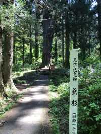 ＃日本國寶 - 羽黑山五重塔