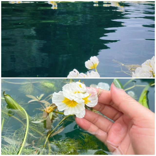 被稱為世界天窗之都的都安