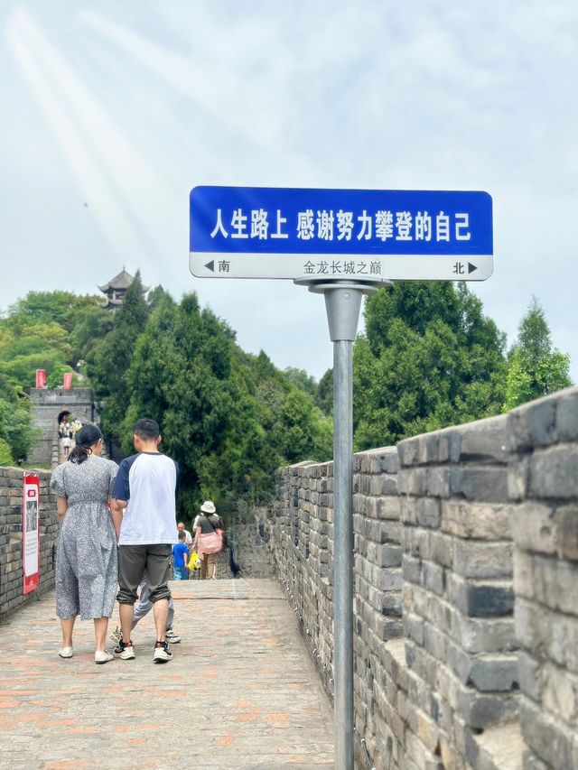 戶外遛娃天花板|爬長城坐叢林過山車咯
