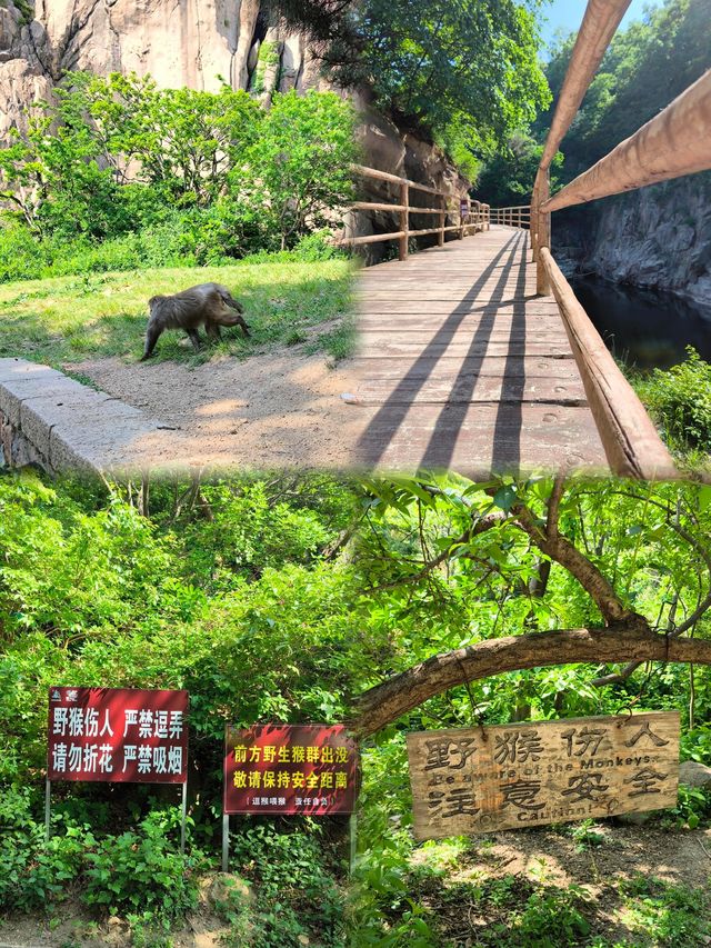 打卡九仙山：日照的自然仙境