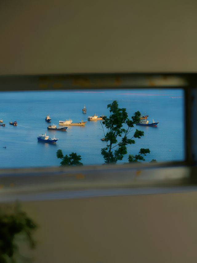 一窗一畫｜辜負世界也不能辜負橘子海🟧🟧