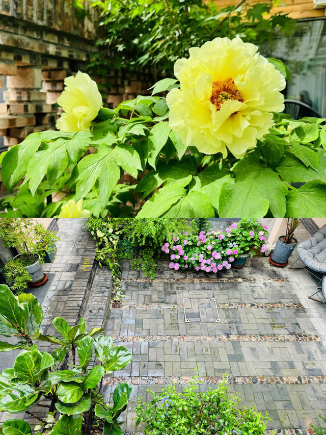 京郊周邊遊，夏日戲水不可不去的懷柔白河灣