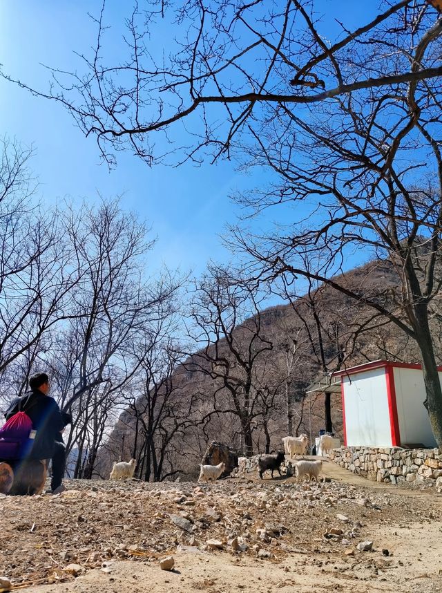 保定全勝峽 山川美景大探索