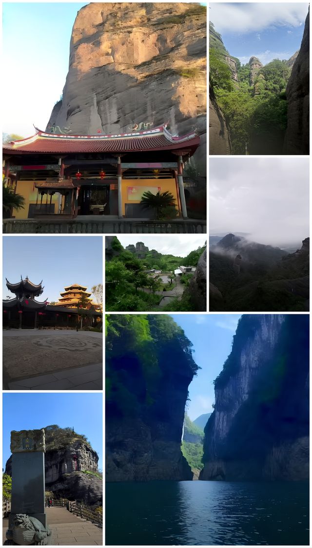 龍岩冠豸山|後悔沒早點來，太原始森林!
