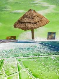 驚了！青海這些景點你一定不能錯過