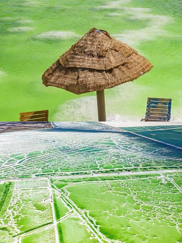 驚了！青海這些景點你一定不能錯過